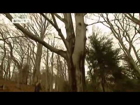 Die Empfehlung - Chiemgau | Hin & Weg