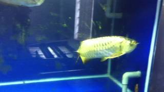 IMG 4587