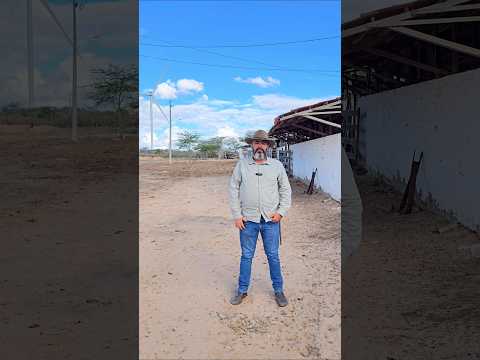 Fazenda á venda em Picuí-PB, medindo 490 hectares, Valor R$ 2.400.000,00.