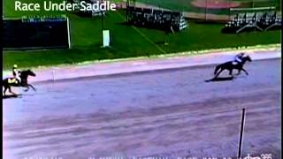 August 04, 2013, Race Under Saddle, Clinton Raceway