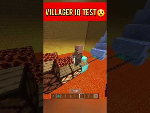 Unbelievable! Villager IQ Test in Minecraft