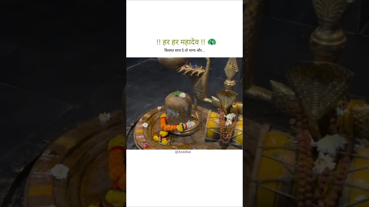 Kismat saath de to bhagya or... 🚩🕉️✨🙏 #shorts #trending #viralvideo #mahadev