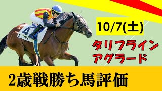 【10月7日勝ち上がり2歳馬評価】サトノダイヤモンド産駒タリフラインが鮮やか差し切り！上がり3Fは驚異の33.4！！