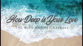 How Deep is Your Love  - The Bird and the Bee (Lyric Video)