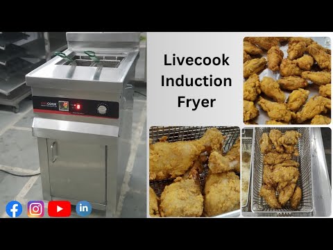 Table Top Induction Deep Fryer
