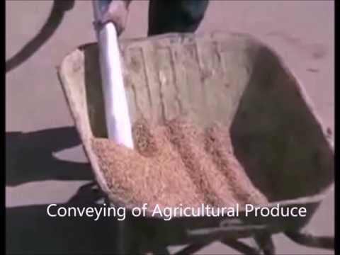 Conveying of Agricultural Produce 