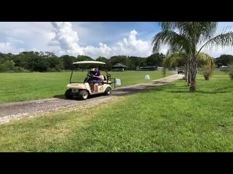 Carole arrives with two new Cats at Big Cat Rescue! New Rehab bobcat and a permanent resident!