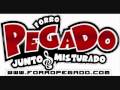 Forró Pegado - Em plena lua-de-mel 