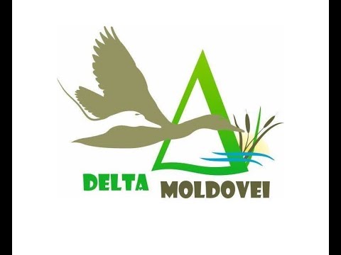 Populare cu peste in Delta Moldovei
