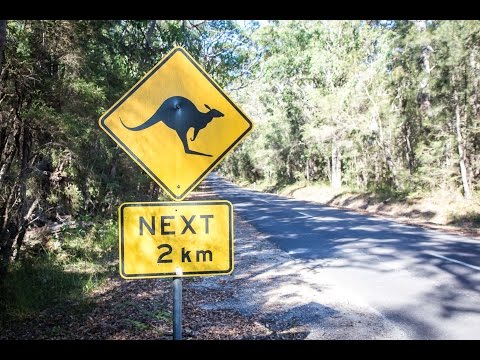 Melbourne to Sydney - The best things to see on a road trip for a week!