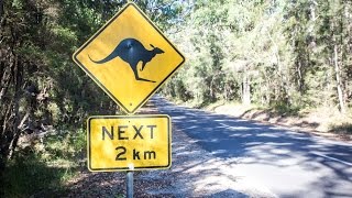 Melbourne to Sydney - The best things to see on a road trip for a week!
