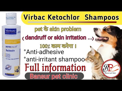 Virbac Ketochlor Shampoo