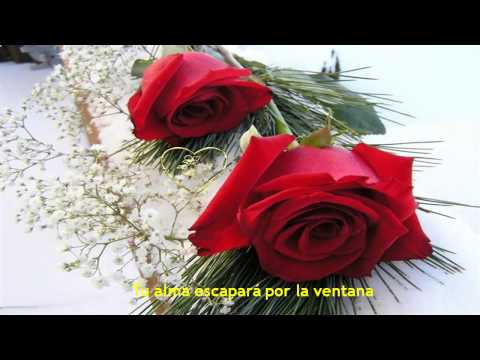 Te llegará una rosa cada día - Johnny Díaz Apitz