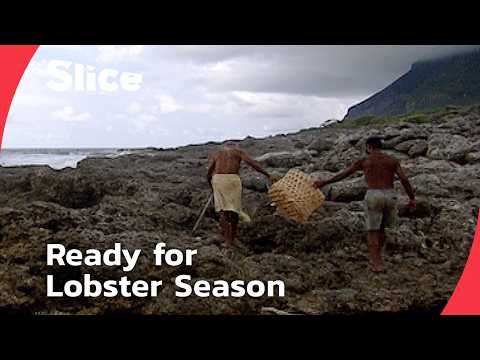 Futuna’s Lobster Fishing: An Ocean Ruled by Tradition | SLICE