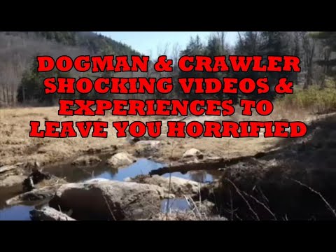 DOGMAN & CRAWLER SHOCKING VIDEO &EXPERIENCES TO LEAVE YOU HORRIFIED 