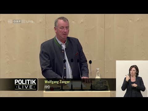 Wolfgang Zanger - Gewaltschutzgesetz - 25.9.2019