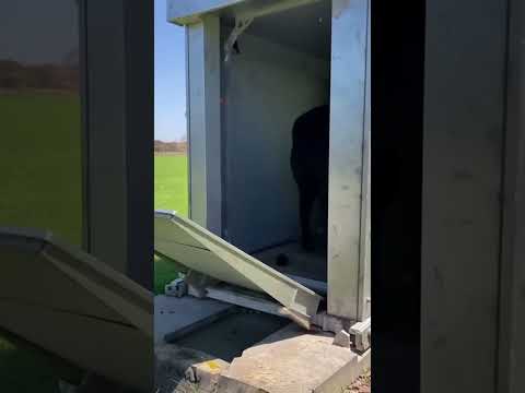 Unbelievable Farm Tech – Watch This Ram Get Fully Sheared!