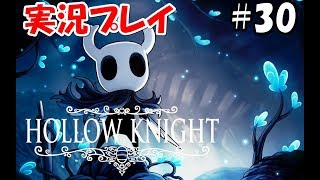 #30【アクション】Hollow Knightをまったり実況プレイ【ホロウナイト】