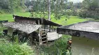 preview picture of video 'Ziarah ke Makam Opa Toraja'