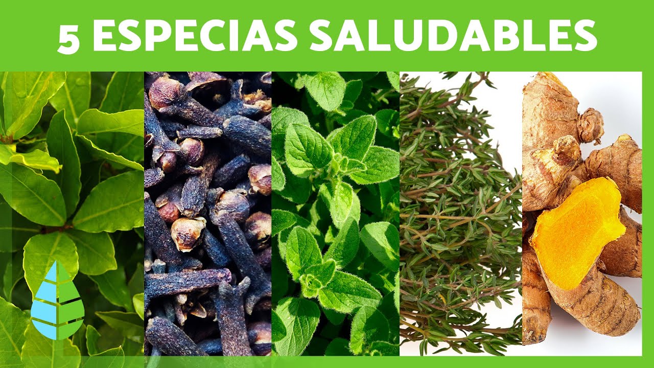5 ESPECIAS MILAGROSAS que debes INCLUIR en tu DIETA 💚 ¡Descubre sus Beneficios para la Salud!