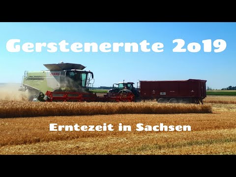 Gerstenernte 2019 in Sachsen / Agrarfilmer Sachsen