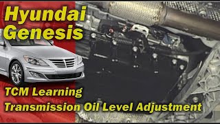 Hyundai Genesis TCM Learning & Transmission Oil Level Adjustment  | AISIN 6 Speed Auto Transmission