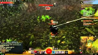 Guild War 2- Chokevine Gorge Hero Challenge near Aleem&#39;s Penance (Sparkfly Fen)