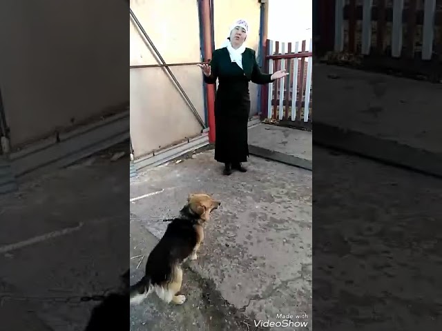 Габдулла Тукай "Шигырьлэре буенча" Низамбиева Раушания Ринатовна