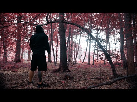 Inkognito x Rilla - Blick nach vorne