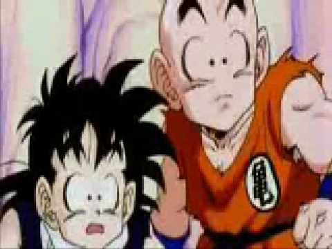 TFS DBZ Abridged 1006