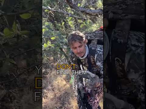 Shed antlers find you, you don’t find them. #couesdeer #camomatrix @SkreGear Solace