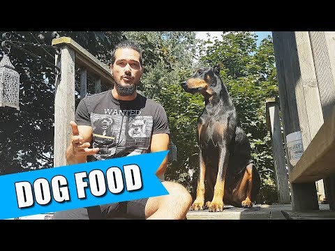 Freeze-Dried Raw Dog Food Review ft. Doberman Dante 🐾 Video