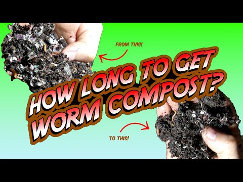 How LONG Does It TAKE To Get WORM COMPOST?