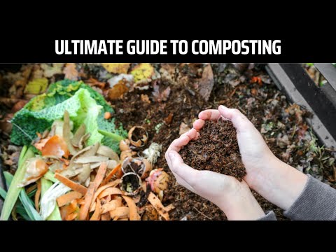 Ultimate Guide to Composting (Perfect for Beginner Gardeners)