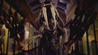 David Attenborough&#39;s Museum Alive