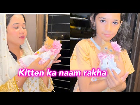 Hmari kitten ka naam done | sb family ko invite kiya | Sitara Yaseen