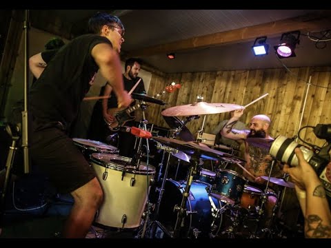 IMPATV 186 - CATTLE - FULL SET - WOODLAND GATHERING 2018