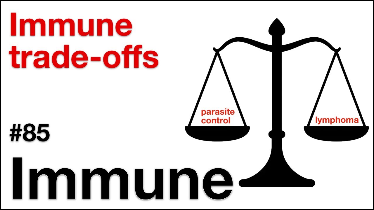 Immune 85: Immune trade-offs