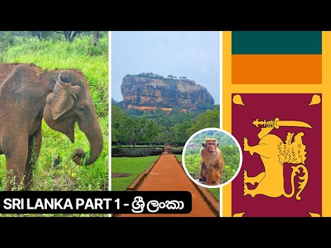 Sri Lanka 🐘 | Elephant Safari & Sigiriya Rock Fortress