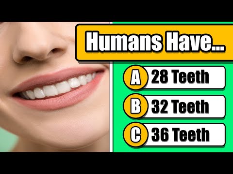 General Knowledge Quiz #7 - Human Body And Biology