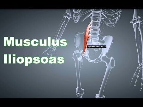 Übungen, um die Muskeln der Hüftgelenke zu stärken Erhöhte CPK Osteochondrose