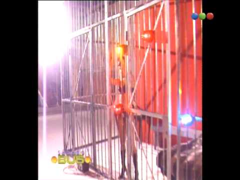 Almanaque Bus: Margarita Waiss - Sábado Bus