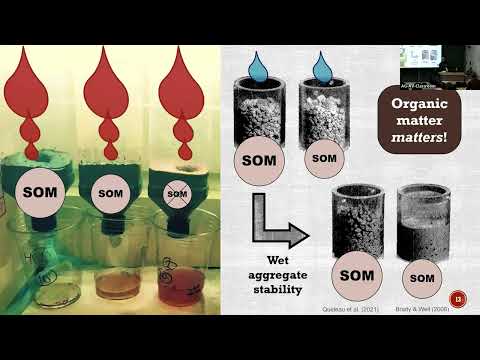 Cole Gross: Soil Health's Carbon & Pasture Power