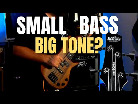 Ibanez Mikro Bass: Small Bass, Big Tone?