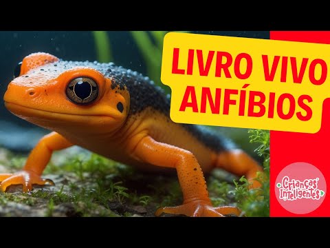 ANFÍBIOS - LIVRO VIVO - CRIANÇAS INTELIGENTES