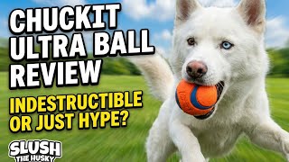 Chuckit Ultra Ball Review: Indestructible or Just Hype?