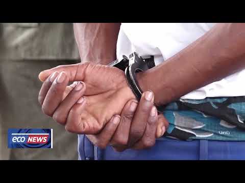 PORTE DE ILEGAL DE ARMA