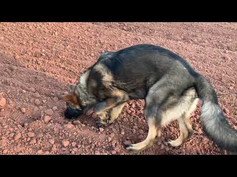 Wiper Mineo - Tracking 6 months