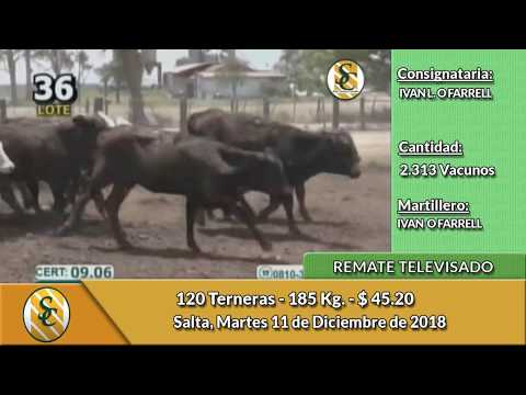 11-12-18 - Remate Televisado de IVAN O FARRELL S.R.L. - Salta