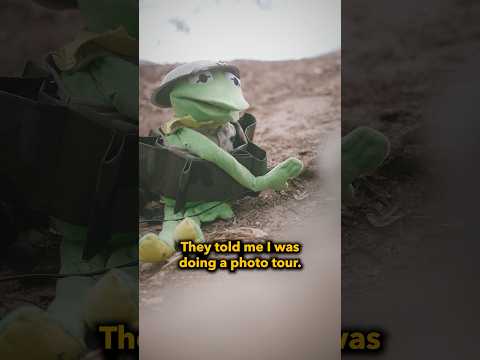 Sending the Muppets to war